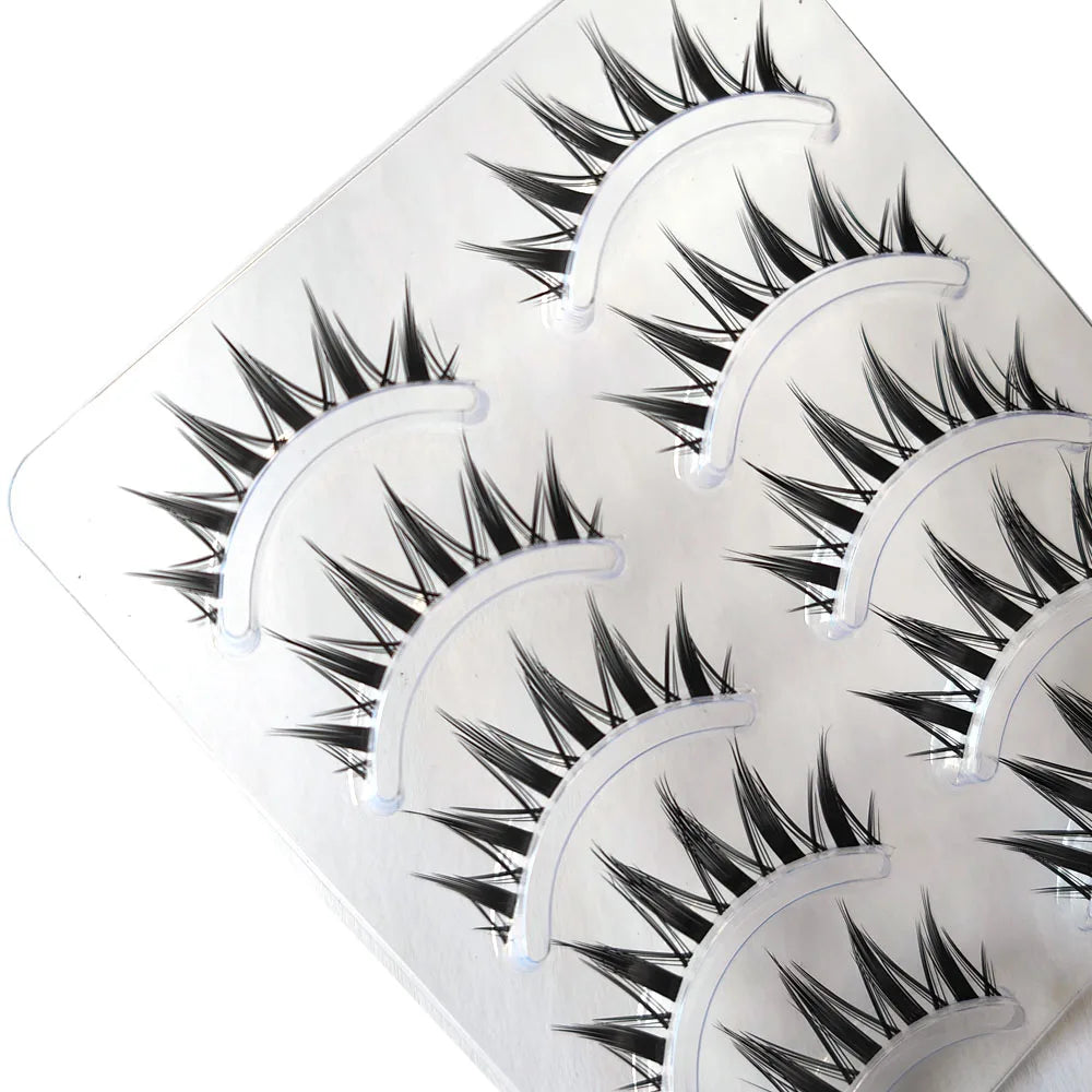 cat-eye-false-eyelashes-packaging-tray-zaranss-mart